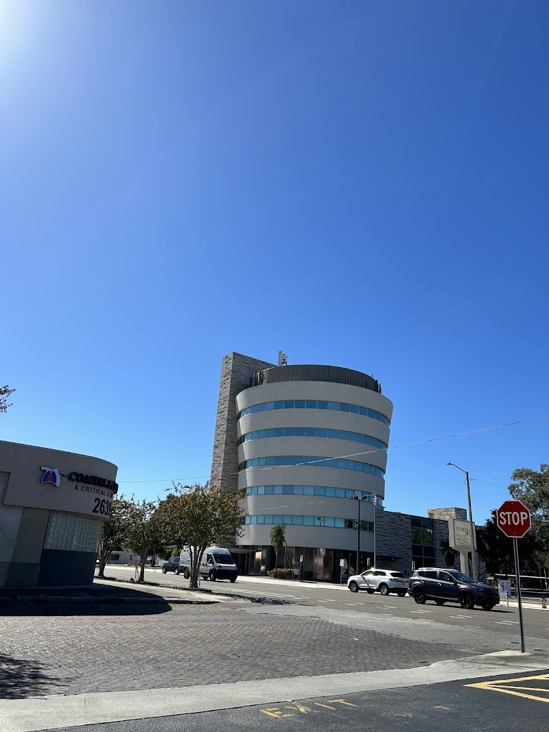 MityMo Creative image 1