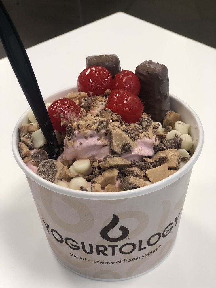 Yogurtology image 3