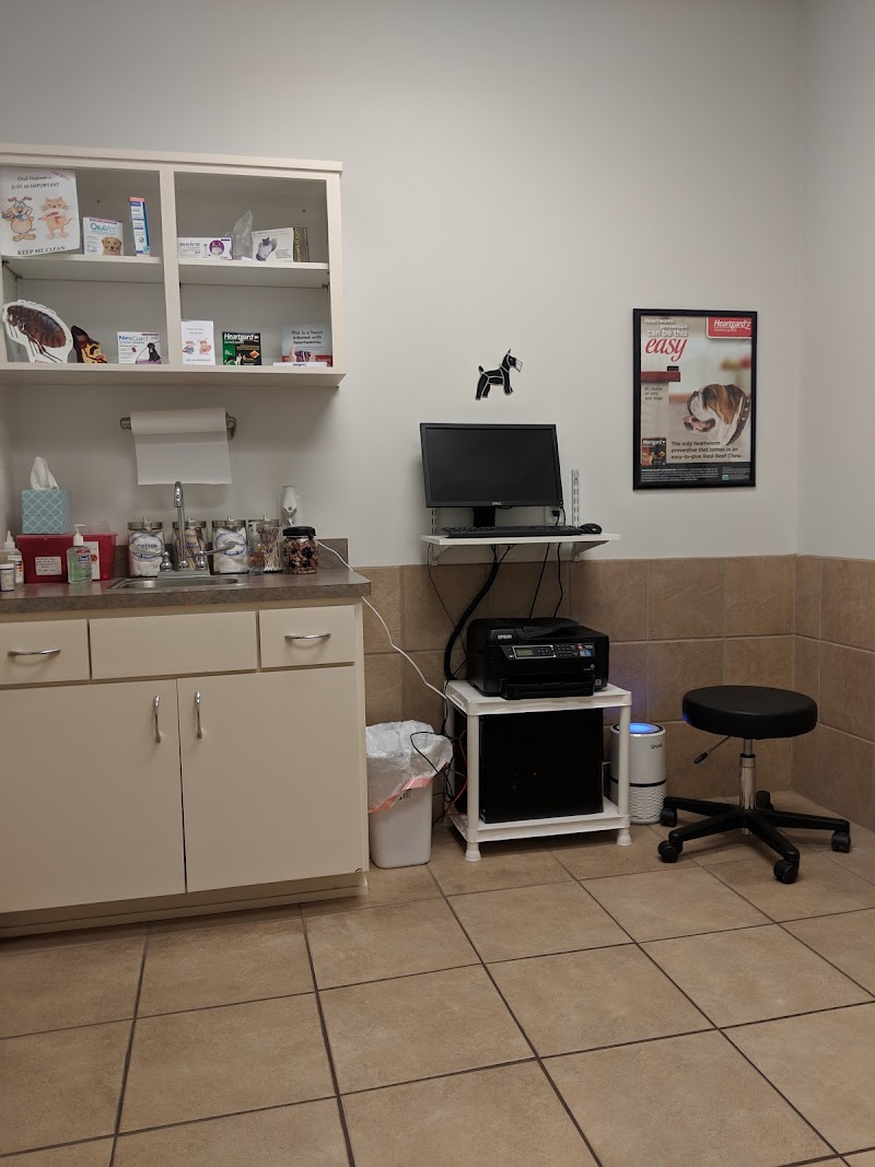 4th Street Pet Hospital image 4