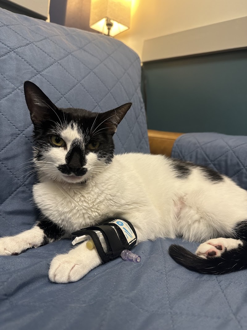 Beacon Emergency Veterinary Hospital image 5