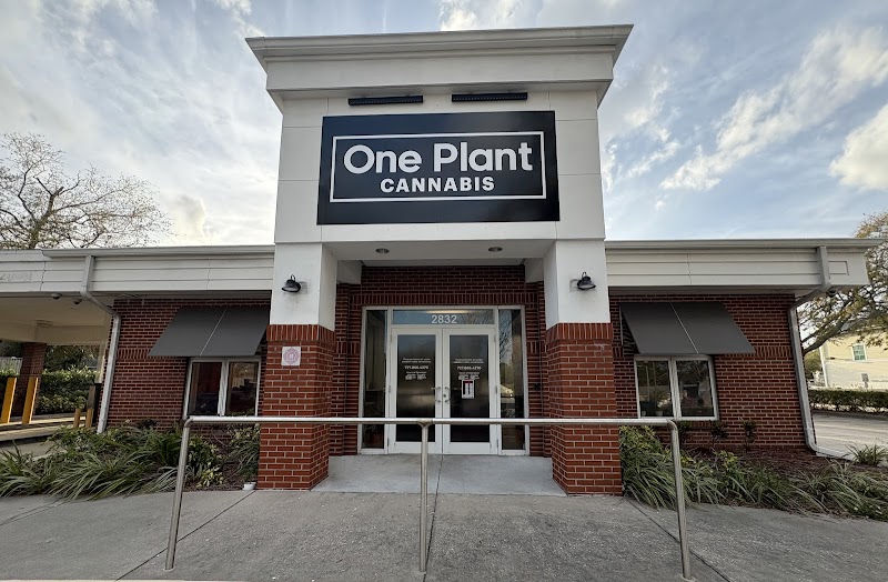 One Plant Cannabis - St. Petersburg image 1