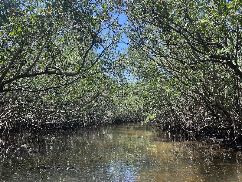 Good Vibes Kayak Rentals image 3