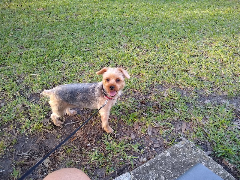 Allendale Park image 5