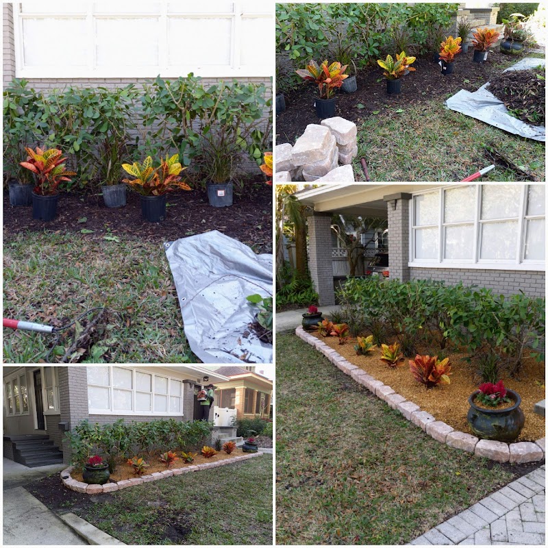 Precision Lawnscape LLC image 5