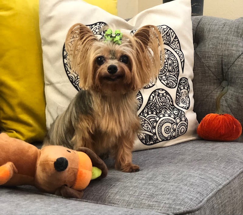 Dog Crafters ️ image 1