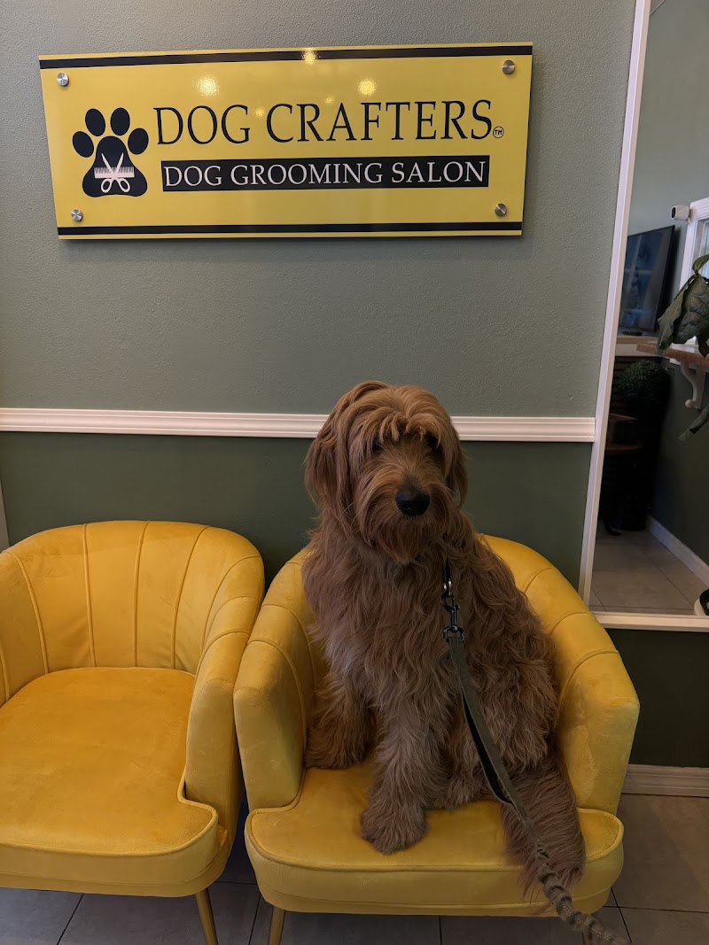 Dog Crafters ️ image 4