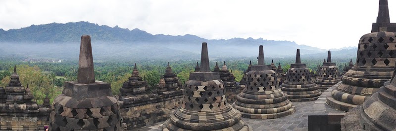 Merry Reidenbach | Disability Management Consultants image 1