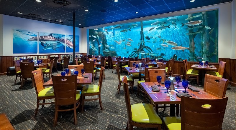 RumFish Grill and Sports Bar Gallery Image