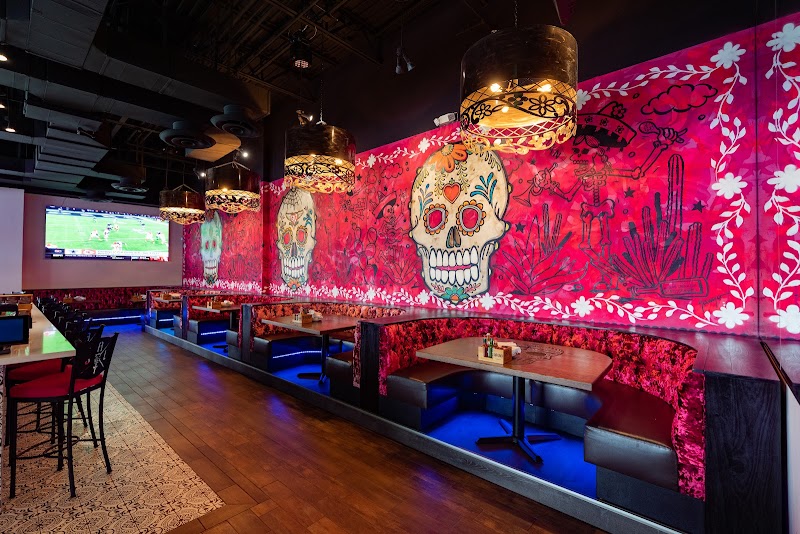 Salt Tacos y Tequila