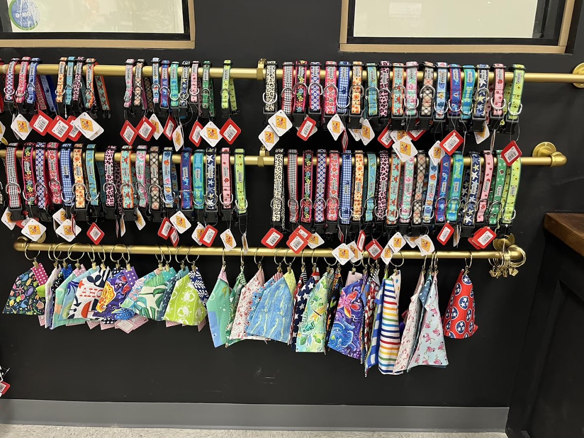 Wag It Better Family Dog Training and Boutique image 2